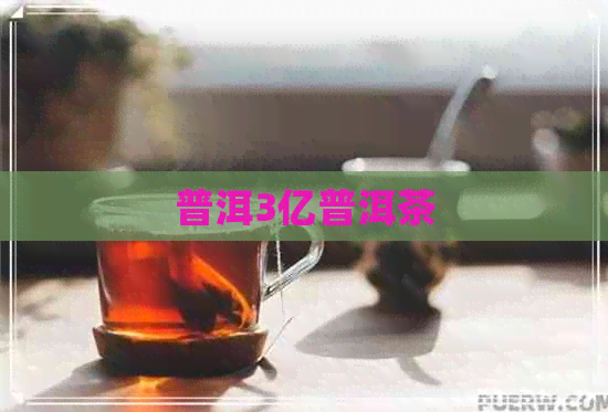 普洱3亿普洱茶