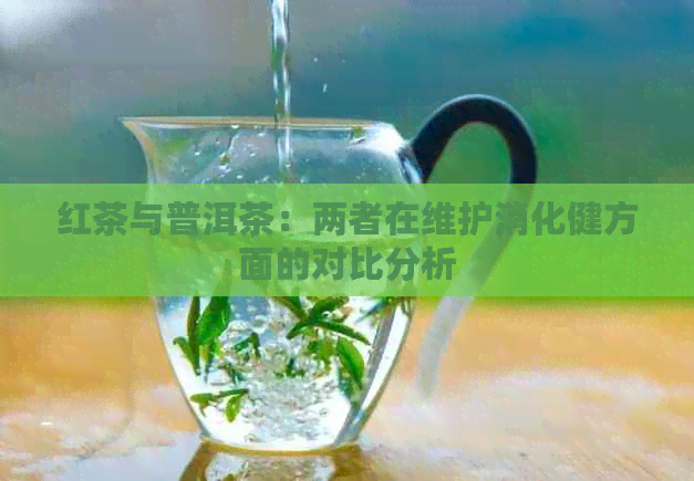 红茶与普洱茶：两者在维护消化健方面的对比分析