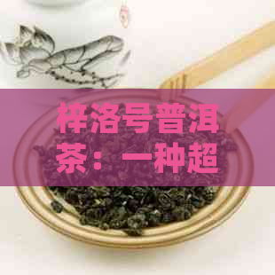 梓洛号普洱茶：一种超越档次的品质体验