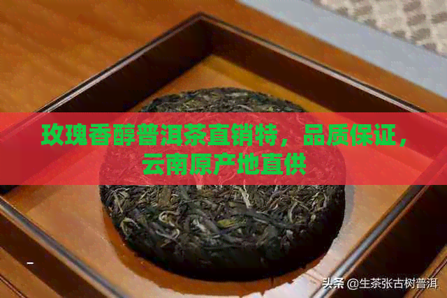 玫瑰香醇普洱茶直销特，品质保证，云南原产地直供