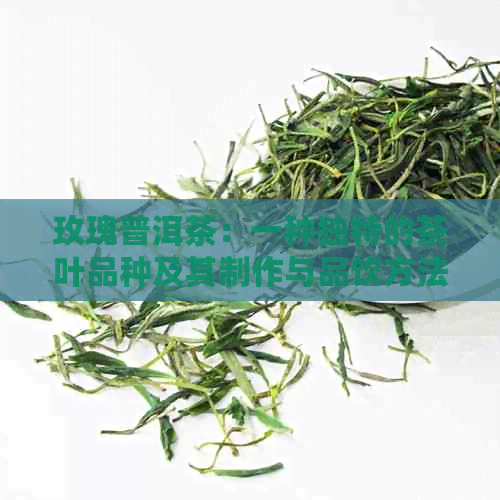 玫瑰普洱茶：一种独特的茶叶品种及其制作与品饮方法的全面解析