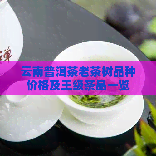 云南普洱茶老茶树品种价格及王级茶品一览