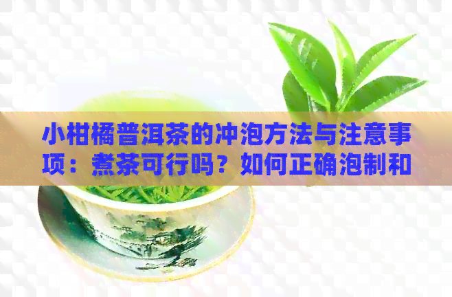 小柑橘普洱茶的冲泡方法与注意事项：煮茶可行吗？如何正确泡制和饮用？