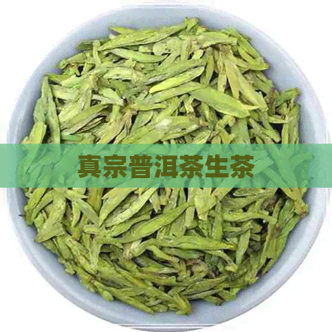 真宗普洱茶生茶