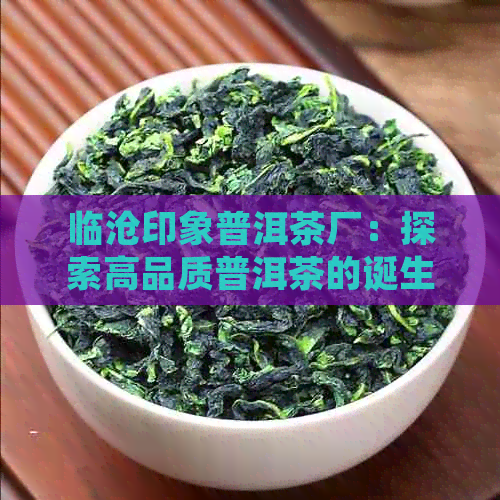 临沧印象普洱茶厂：探索高品质普洱茶的诞生之地