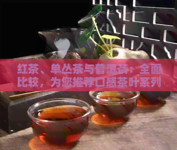 红茶、单丛茶与普洱茶：全面比较，为您推荐口感茶叶系列