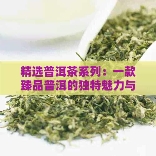 精选普洱茶系列：一款臻品普洱的独特魅力与价值