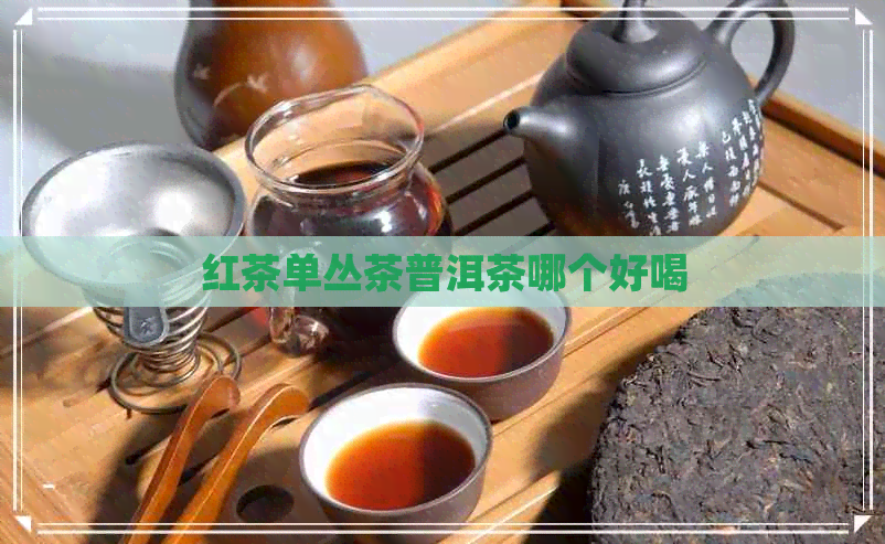 红茶单丛茶普洱茶哪个好喝