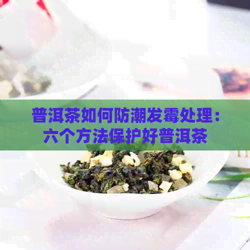 普洱茶如何防潮发霉处理：六个方法保护好普洱茶