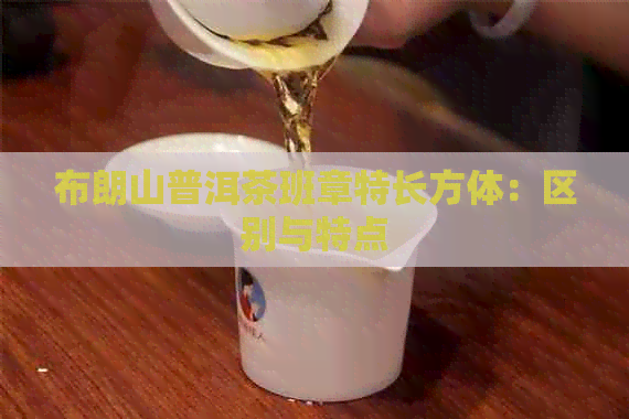 布朗山普洱茶班章特长方体：区别与特点