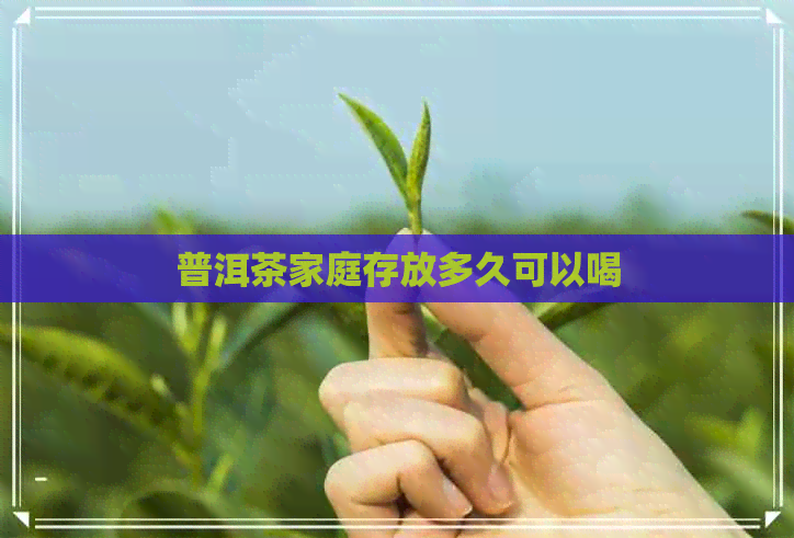 普洱茶家庭存放多久可以喝