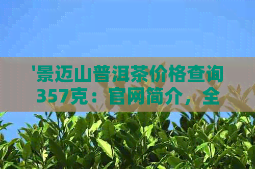 '景迈山普洱茶价格查询357克：官网简介，全方位了解'