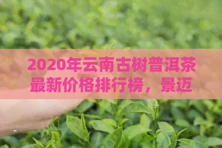 2020年云南古树普洱茶最新价格排行榜，景迈山茶批发指南