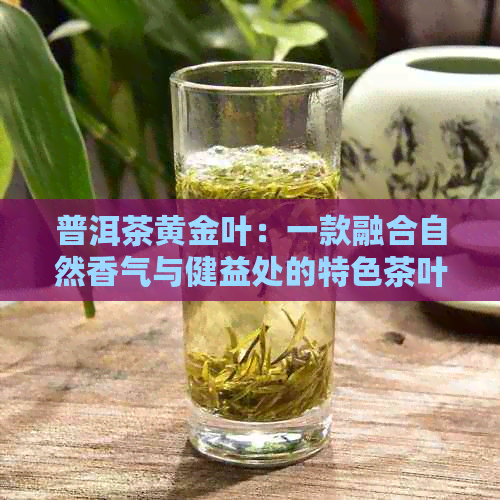 普洱茶黄金叶：一款融合自然香气与健益处的特色茶叶