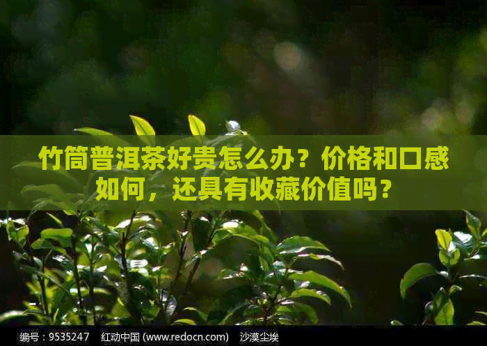 竹筒普洱茶好贵怎么办？价格和口感如何，还具有收藏价值吗？