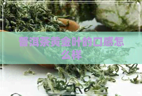 普洱茶黄金叶的口感怎么样