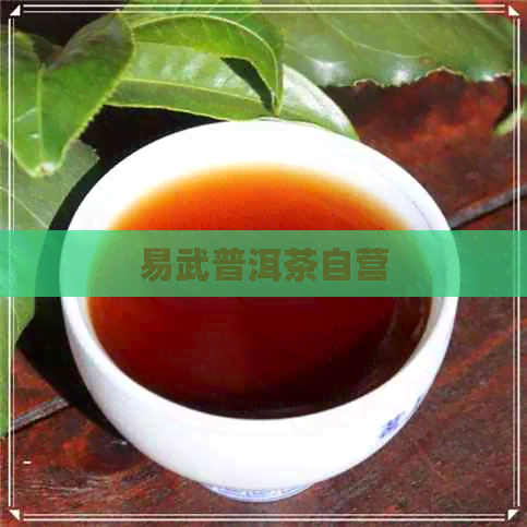 易武普洱茶自营