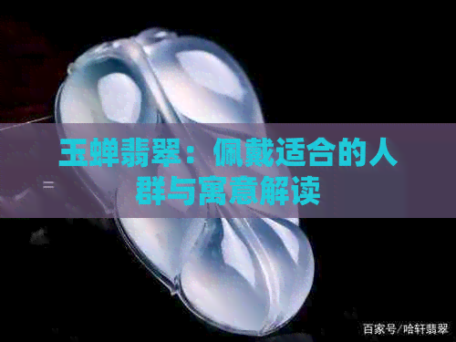 玉蝉翡翠：佩戴适合的人群与寓意解读