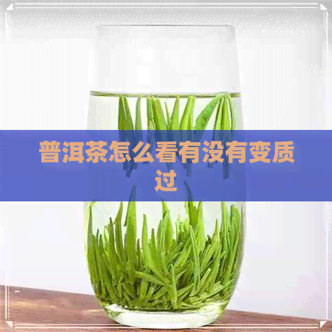 普洱茶怎么看有没有变质过