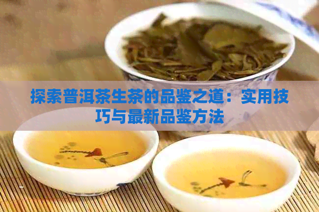 探索普洱茶生茶的品鉴之道：实用技巧与最新品鉴方法