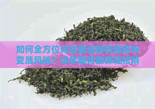 如何全方位评估普洱茶的新度与变质风险？详尽解答助你轻松辨别！