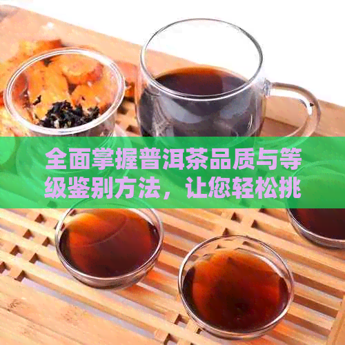 全面掌握普洱茶品质与等级鉴别方法，让您轻松挑选高品质普洱茶