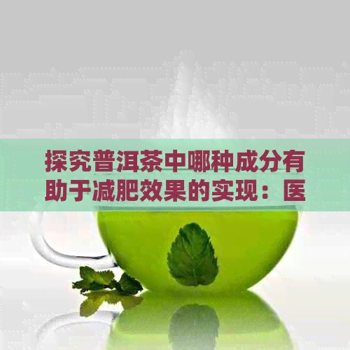 探究普洱茶中哪种成分有助于减肥效果的实现：医生的建议与生茶分析