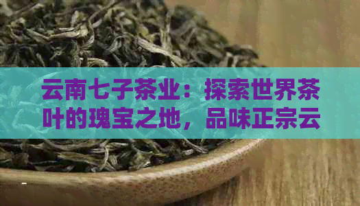 云南七子茶业：探索世界茶叶的瑰宝之地，品味正宗云南普洱茶的魅力