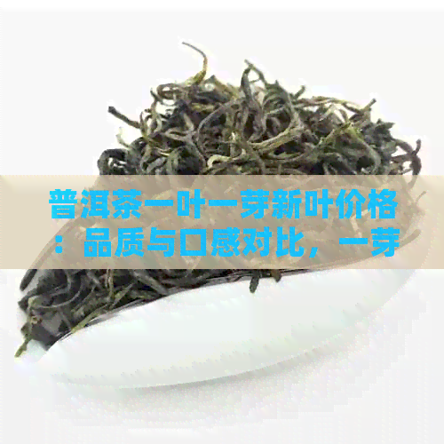 普洱茶一叶一芽新叶价格：品质与口感对比，一芽一叶与一芽两叶哪个好？