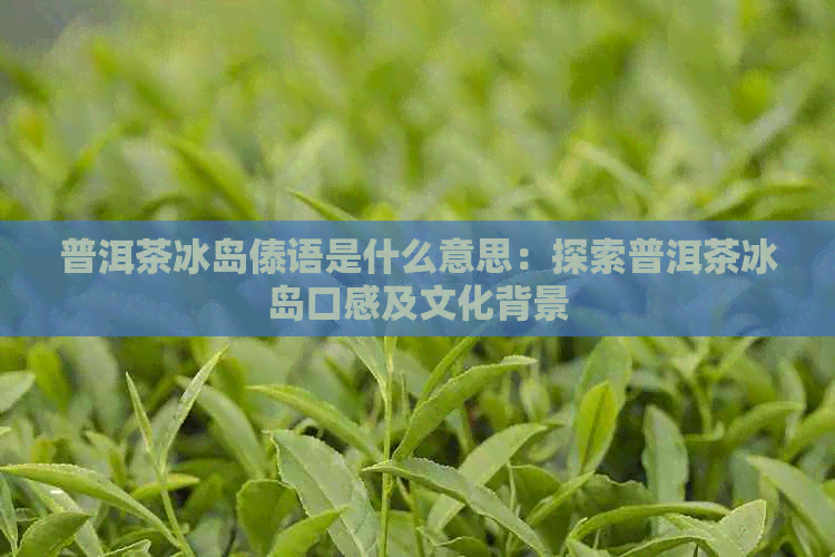 普洱茶冰岛傣语是什么意思：探索普洱茶冰岛口感及文化背景