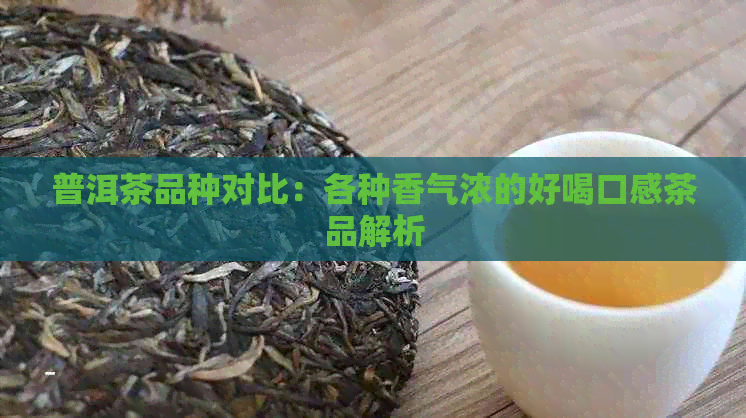 普洱茶品种对比：各种香气浓的好喝口感茶品解析