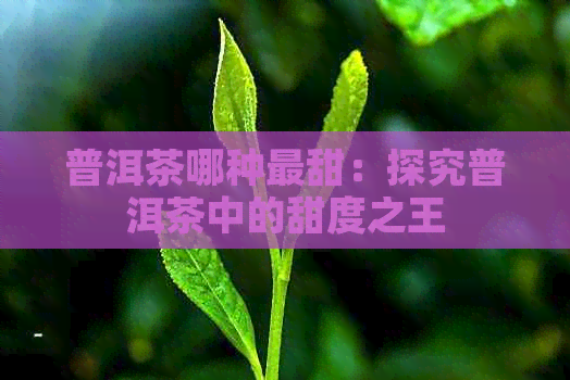 普洱茶哪种最甜：探究普洱茶中的甜度之王