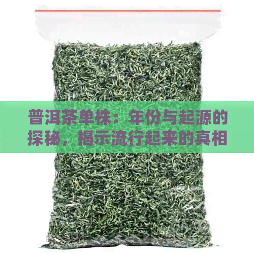 普洱茶单株：年份与起源的探秘，揭示流行起来的真相