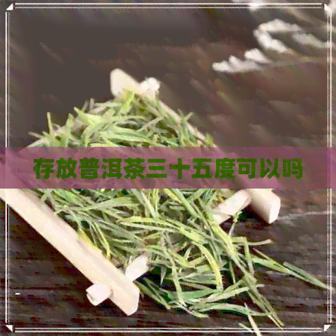 存放普洱茶三十五度可以吗