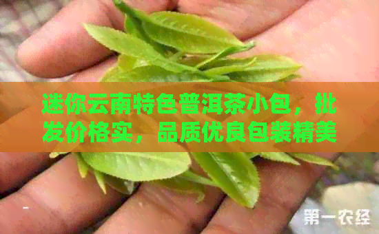 迷你云南特色普洱茶小包，批发价格实，品质优良包装精美