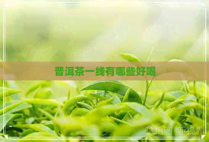 普洱茶一线有哪些好喝