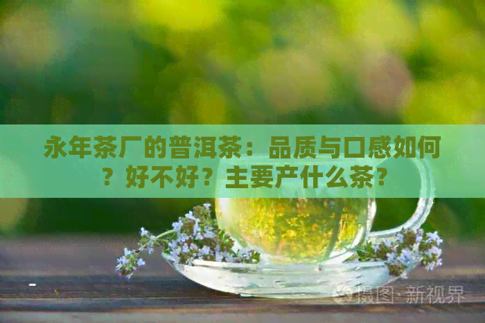 永年茶厂的普洱茶：品质与口感如何？好不好？主要产什么茶？