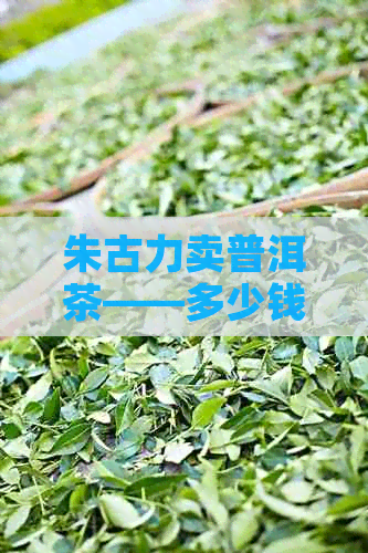 朱古力卖普洱茶——多少钱？哪些牌子好？好喝吗？批发及饮品推荐