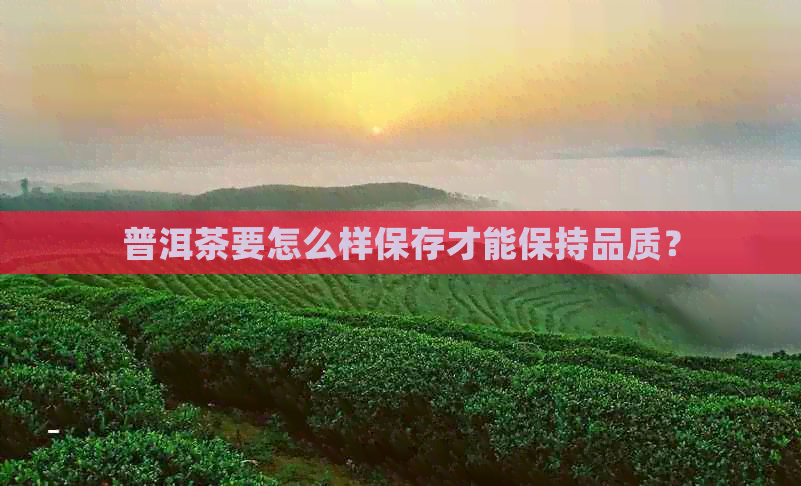 普洱茶要怎么样保存才能保持品质？