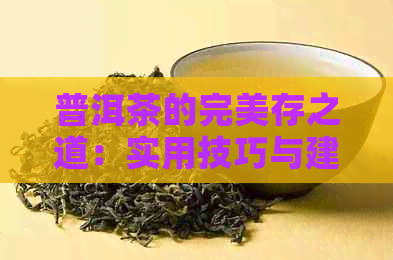 普洱茶的完美存之道：实用技巧与建议