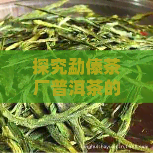 探究勐傣茶厂普洱茶的特色与口感：一份全面品鉴指南