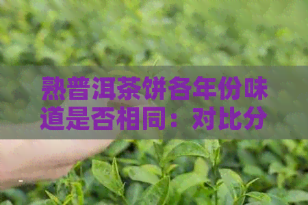 熟普洱茶饼各年份味道是否相同：对比分析