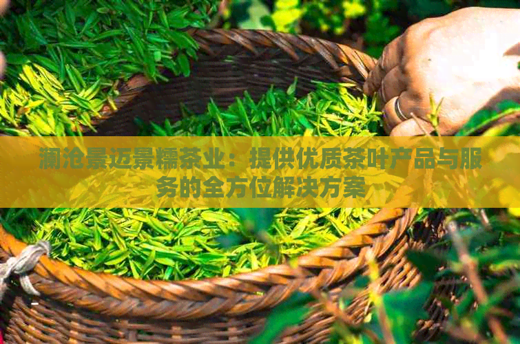 澜沧景迈景糯茶业：提供优质茶叶产品与服务的全方位解决方案