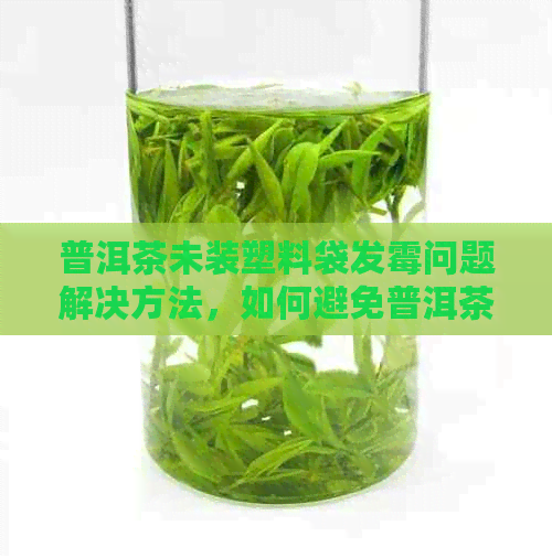 普洱茶未装塑料袋发霉问题解决方法，如何避免普洱茶受潮？