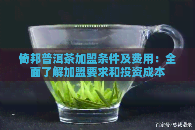 倚邦普洱茶加盟条件及费用：全面了解加盟要求和投资成本