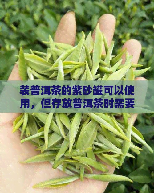 装普洱茶的紫砂罐可以使用，但存放普洱茶时需要拆掉包装袋吗？