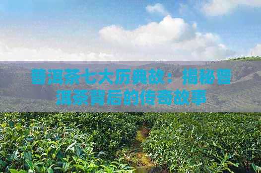 普洱茶七大历典故：揭秘普洱茶背后的传奇故事