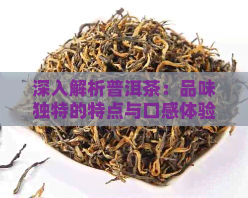 深入解析普洱茶：品味独特的特点与口感体验