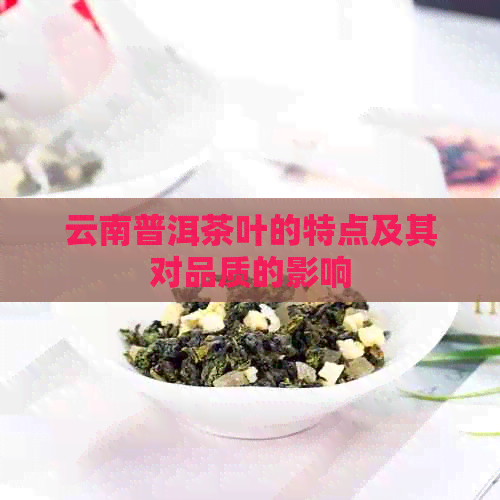 云南普洱茶叶的特点及其对品质的影响