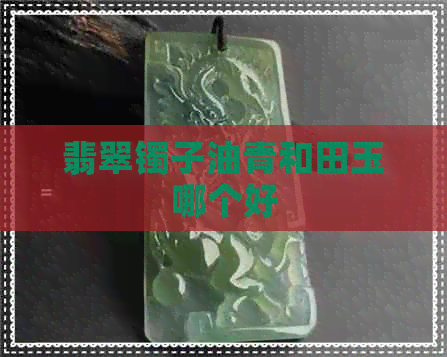 翡翠镯子油青和田玉哪个好